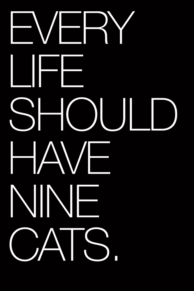 evamazi_pc_nine_cats